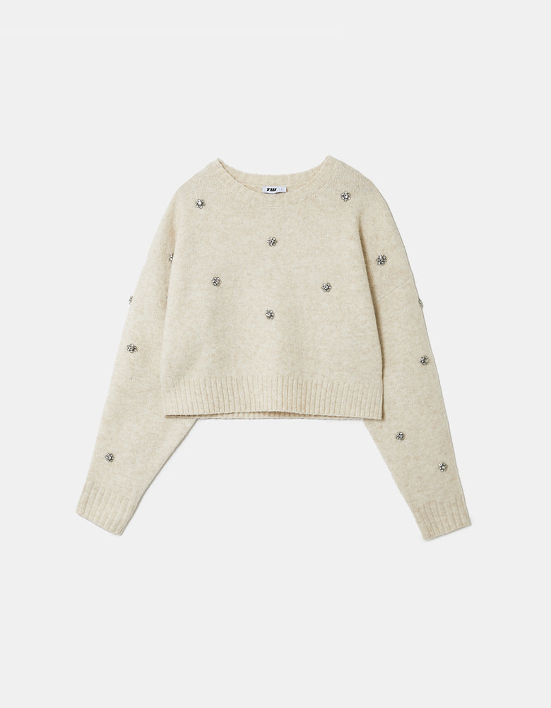 Jumper with Rhinestones | Beige Chine