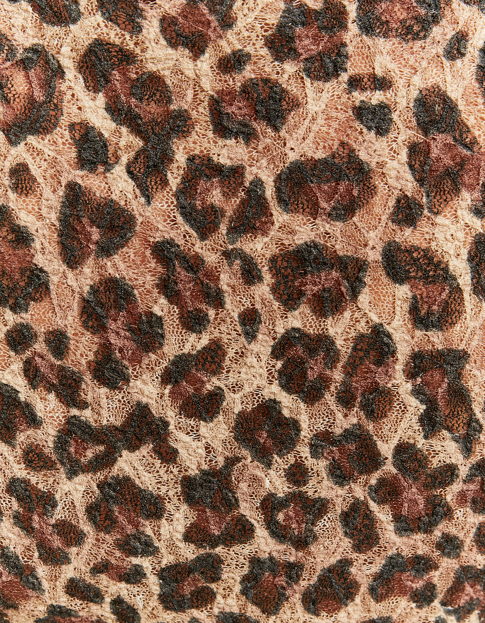 Leo Print Mesh Top | Leo Print