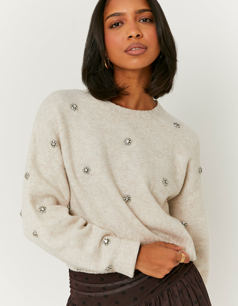 Jumper with Rhinestones | Beige Chine