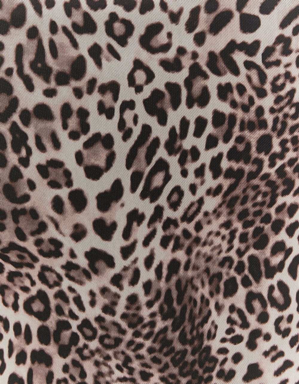 Leo print maxi skirt with lace | Multicolor